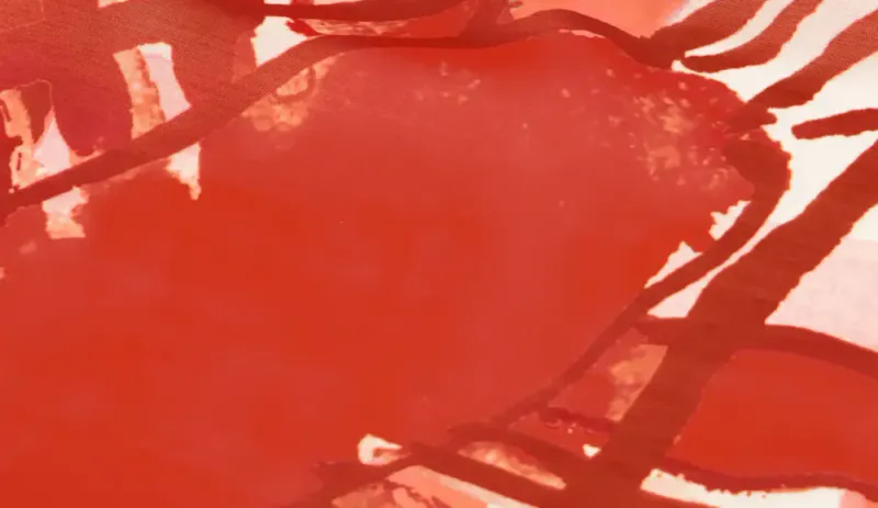 Lovey Lobster Scarf Fabienne Chapot